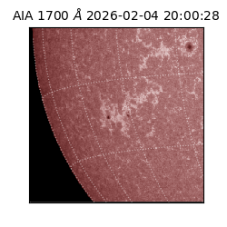 saia - 2026-02-04T20:00:28.718000