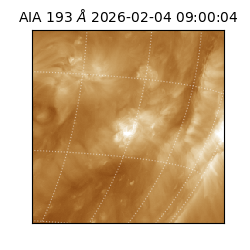 saia - 2026-02-04T09:00:04.843000