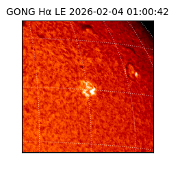 gong - 2026-02-04T01:00:42