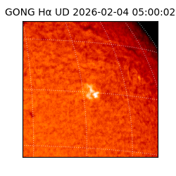 gong - 2026-02-04T05:00:02