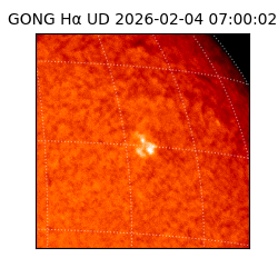 gong - 2026-02-04T07:00:02