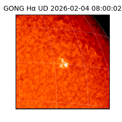 gong - 2026-02-04T08:00:02