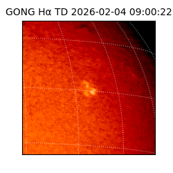 gong - 2026-02-04T09:00:22