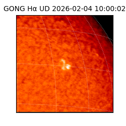 gong - 2026-02-04T10:00:02
