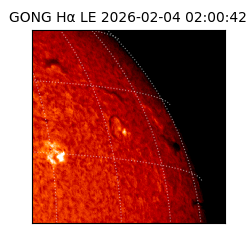 gong - 2026-02-04T02:00:42