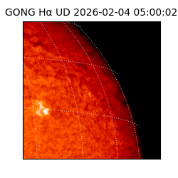 gong - 2026-02-04T05:00:02