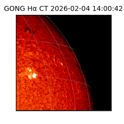 gong - 2026-02-04T14:00:42