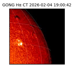 gong - 2026-02-04T19:00:42
