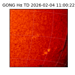 gong - 2026-02-04T11:00:22