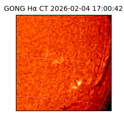 gong - 2026-02-04T17:00:42