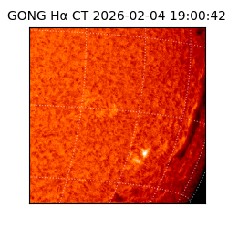 gong - 2026-02-04T19:00:42