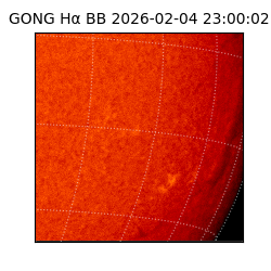 gong - 2026-02-04T23:00:02