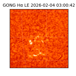 gong - 2026-02-04T03:00:42