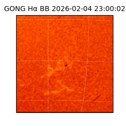 gong - 2026-02-04T23:00:02