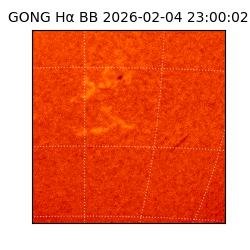 gong - 2026-02-04T23:00:02