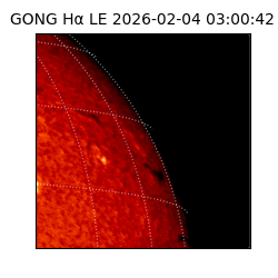 gong - 2026-02-04T03:00:42
