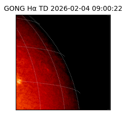 gong - 2026-02-04T09:00:22