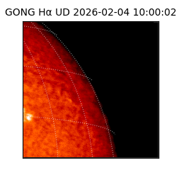 gong - 2026-02-04T10:00:02