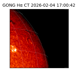 gong - 2026-02-04T17:00:42