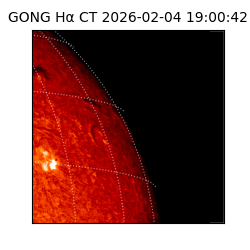 gong - 2026-02-04T19:00:42