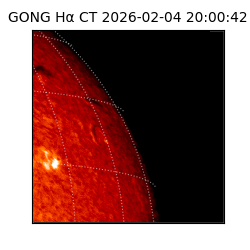 gong - 2026-02-04T20:00:42