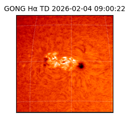 gong - 2026-02-04T09:00:22