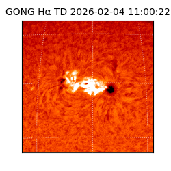 gong - 2026-02-04T11:00:22