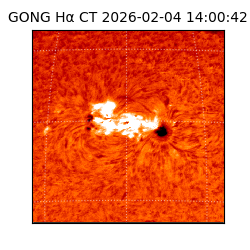 gong - 2026-02-04T14:00:42