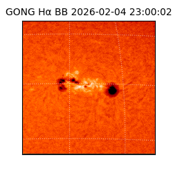 gong - 2026-02-04T23:00:02