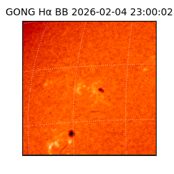 gong - 2026-02-04T23:00:02