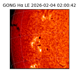 gong - 2026-02-04T02:00:42