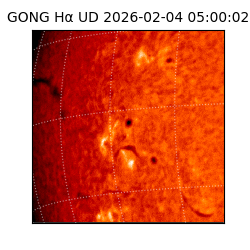 gong - 2026-02-04T05:00:02