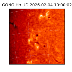 gong - 2026-02-04T10:00:02