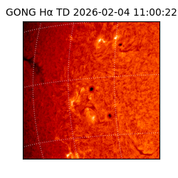 gong - 2026-02-04T11:00:22