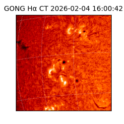 gong - 2026-02-04T16:00:42