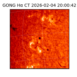 gong - 2026-02-04T20:00:42