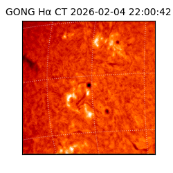 gong - 2026-02-04T22:00:42