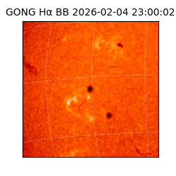 gong - 2026-02-04T23:00:02