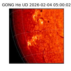 gong - 2026-02-04T05:00:02