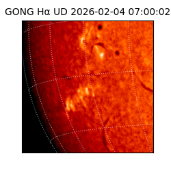 gong - 2026-02-04T07:00:02