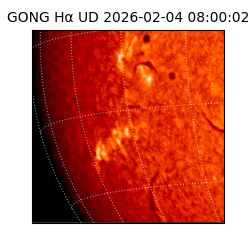 gong - 2026-02-04T08:00:02