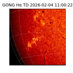 gong - 2026-02-04T11:00:22