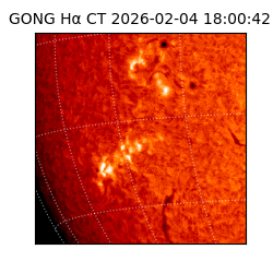 gong - 2026-02-04T18:00:42