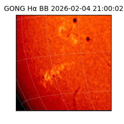 gong - 2026-02-04T21:00:02