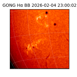 gong - 2026-02-04T23:00:02