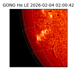 gong - 2026-02-04T02:00:42