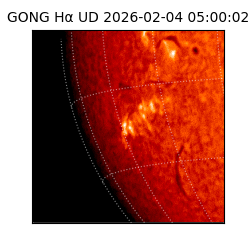 gong - 2026-02-04T05:00:02
