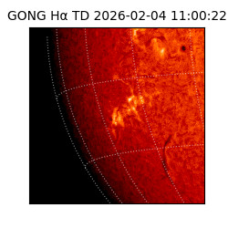 gong - 2026-02-04T11:00:22