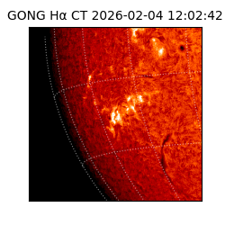 gong - 2026-02-04T12:02:42