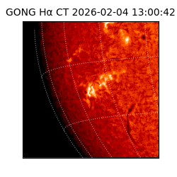 gong - 2026-02-04T13:00:42